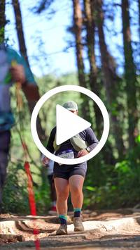 BIB:  <button type="button" onclick="openModal(26787579)" class="btn btn-primary btn-sm float-right" data-toggle="modal" data-target=".modal-high-quality">
                <i class="fa fa-download"></i> Download
                </button>